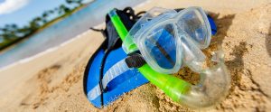 Everything you need to know about the snorkelling kit